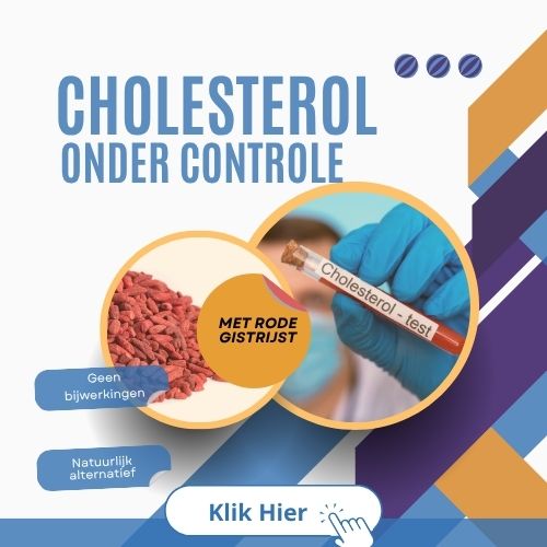 cholesterol verlagen
