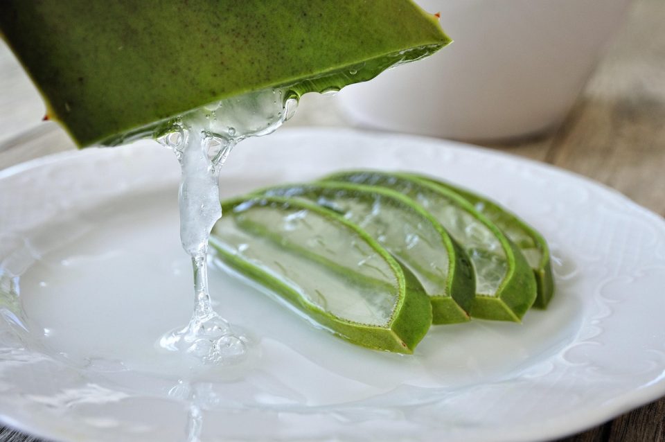 aloe vera sap juice elixer